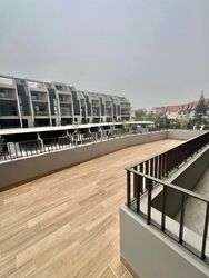 Pollen Collection (D28), Terrace #634124381